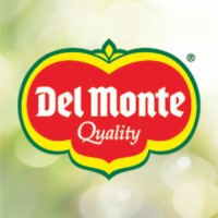 Senior project lead