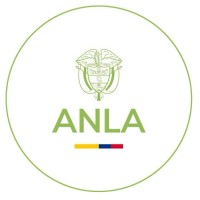 Ingeniero de software
