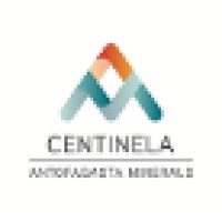 Jefe Control Inversiones CAPEX