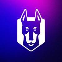 Snyk Ambassador