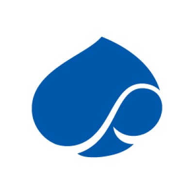 Software Development Consultant