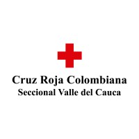 Profesional Especializado en Servicios de Salud