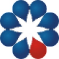 Junior Information Technology Intern