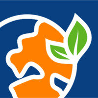 UX/UI Designer