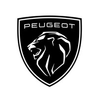 International Market Manager