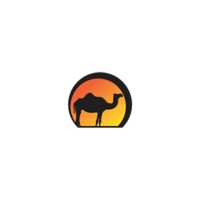 Financial Advisor
