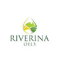 Strategy and Marketing Assistant