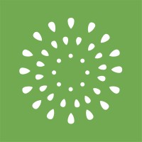 Service e UX Designer