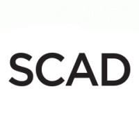 Sr. Collection and Model Coordinator Assistant