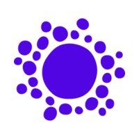 Project Assistant