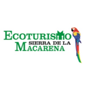 Consultor de desarrollo empresarial