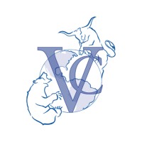 Diseñador multimedia