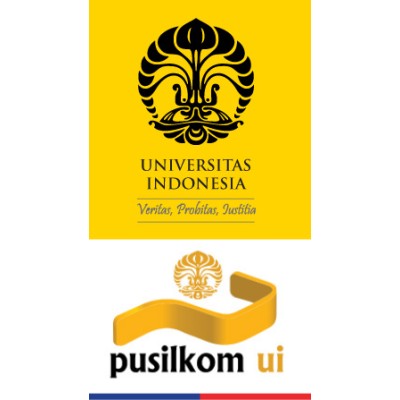 System Developer