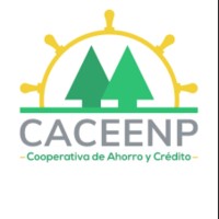 Coordinador de diseño gráfico