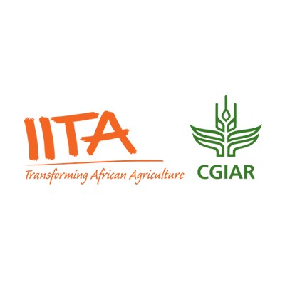 Monitoring Evaluation and Learning Officer