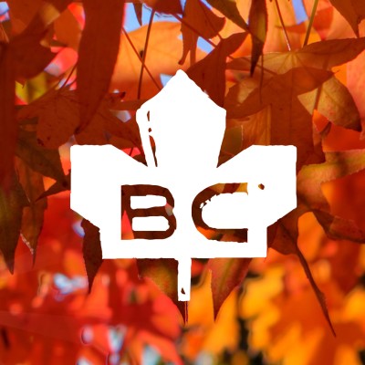 Information & Events Coordinator