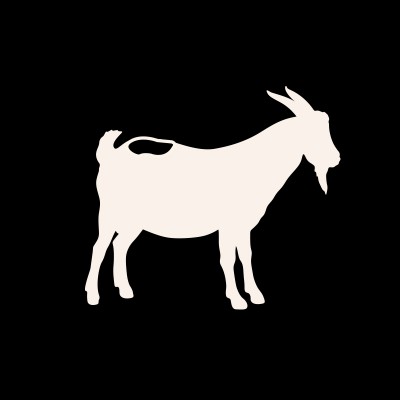 Interaction Designer / Front End Developer