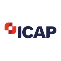 Software Developer