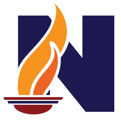 STEM Institute Program Director