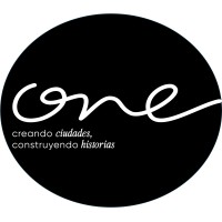 Director de proyecto