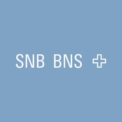 IT Specialist Apprenticeship with a Swiss Vocational Baccalaureate