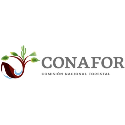 Data Engineer and BI Consultant