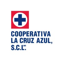 Business Intelligence Consultant
