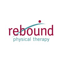 Physical Therapist