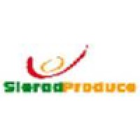 Technical Consultant