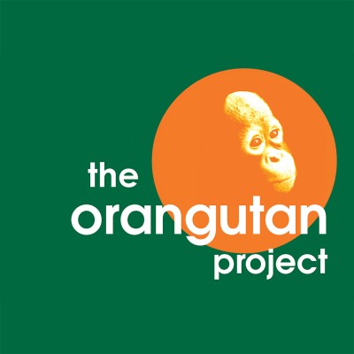 Digital Marketing Specialist