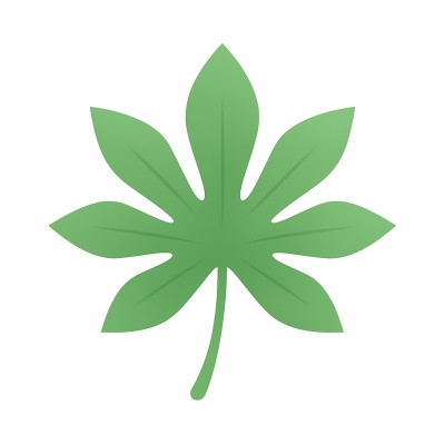Co-Founder