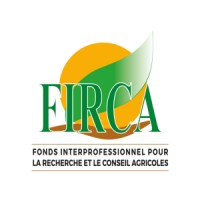 Consultant for the elaboration of a concept note and a PPF