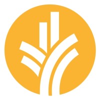 Vice President of Global Digital Marketing
