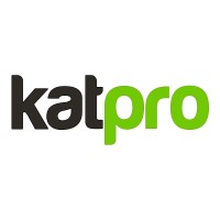 Senior Business Analyst