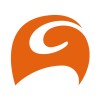 Senior Program & Project Consultant