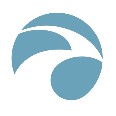 Senior Project Manager