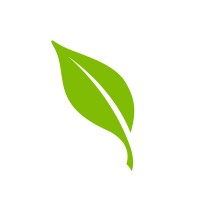 Front End Developer