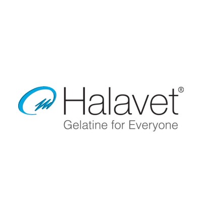 Export Sales Manager