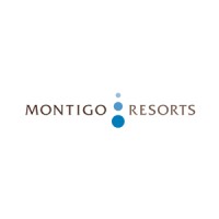 Assistant Manager Learning Development