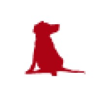 Senior Designer