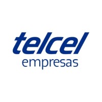 Analista de servicio técnico