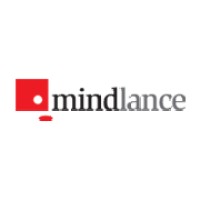 Information Technology Project Management Consultant