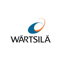 Software Developer