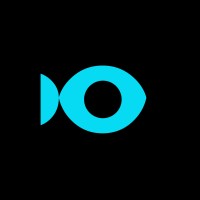 Account Director