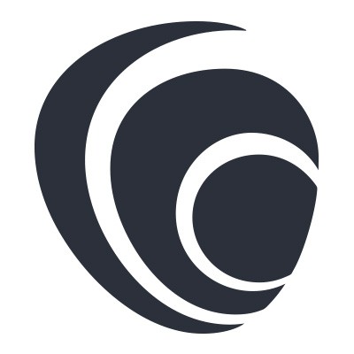 Senior Auditor