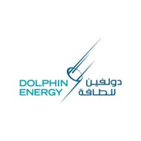 Multi-disciplined inspection engineer