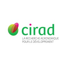 Graduate Student Intern