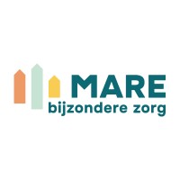 Ambulant begeleider