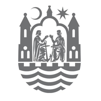 Handicaphjælper