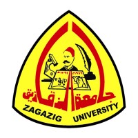 Associate Professor